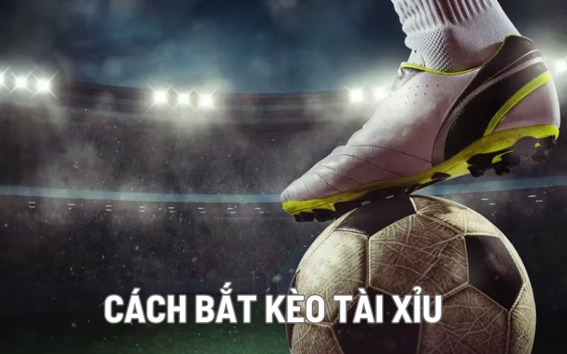 Cách bắt kèo tài xỉu